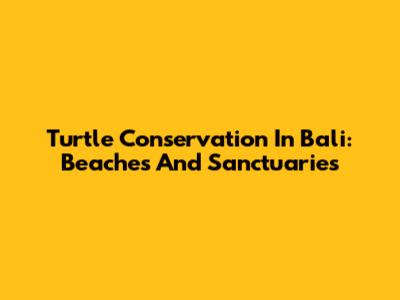 Turtle Conservation In Bali: Beaches And Sanctuaries