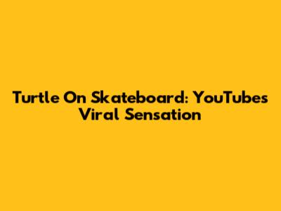 Turtle On Skateboard: YouTube's Viral Sensation