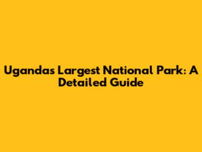 Uganda's Largest National Park: A Detailed Guide