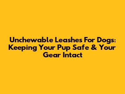 Unchewable Leashes For Dogs: Keeping Your Pup Safe & Your Gear Intact