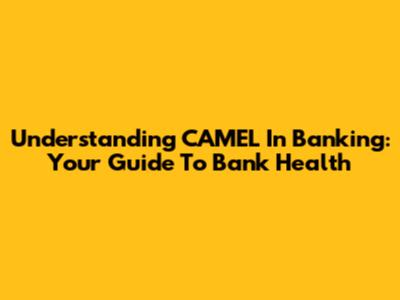 Understanding CAMEL In Banking: Your Guide To Bank Health