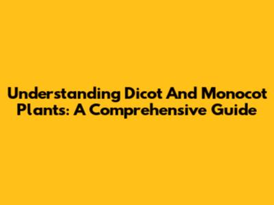 Understanding Dicot And Monocot Plants: A Comprehensive Guide