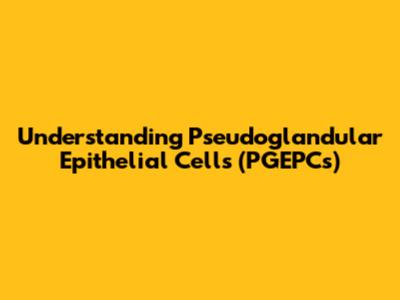 Understanding Pseudoglandular Epithelial Cells (PGEPCs)