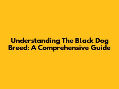 Understanding The Black Dog Breed: A Comprehensive Guide