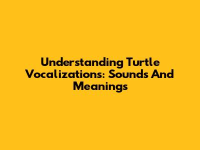 Understanding Turtle Vocalizations: Sounds And Meanings
