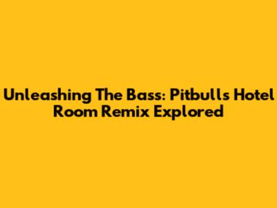 Unleashing The Bass: Pitbull's Hotel Room Remix Explored