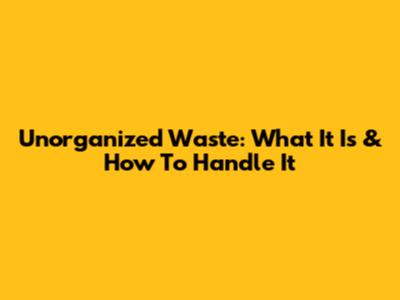 Unorganized Waste: What It Is & How To Handle It