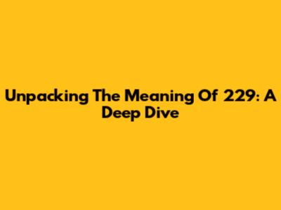 Unpacking The Meaning Of 229: A Deep Dive