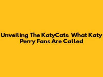 Unveiling The KatyCats: What Katy Perry Fans Are Called