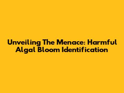 Unveiling The Menace: Harmful Algal Bloom Identification