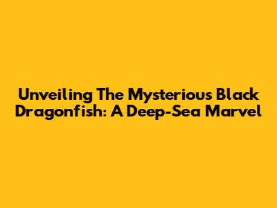 Unveiling The Mysterious Black Dragonfish: A Deep-Sea Marvel