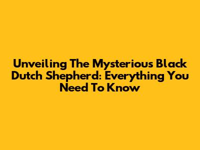 Unveiling The Mysterious Black Dutch Shepherd: Everything You Need To Know