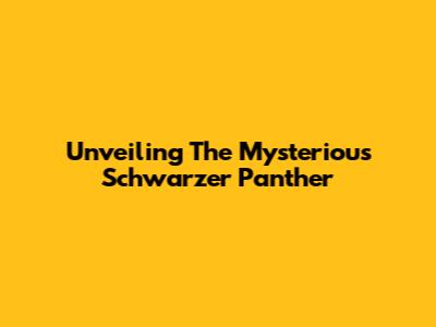 Unveiling The Mysterious Schwarzer Panther