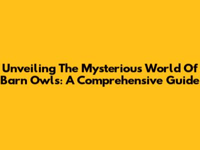 Unveiling The Mysterious World Of Barn Owls: A Comprehensive Guide