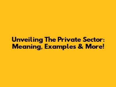 Unveiling The Private Sector: Meaning, Examples & More!