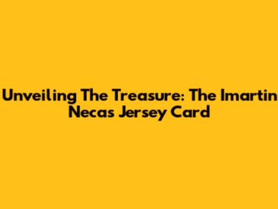 Unveiling The Treasure: The Imartin Necas Jersey Card