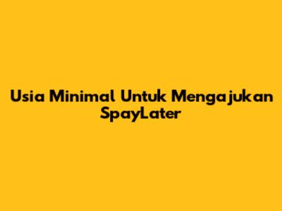 Usia Minimal Untuk Mengajukan SpayLater