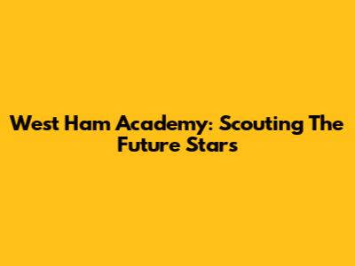 West Ham Academy: Scouting The Future Stars