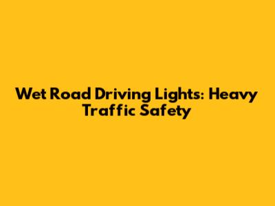 Wet Road Driving Lights: Heavy Traffic Safety