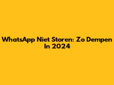 WhatsApp Niet Storen: Zo Dempen In 2024