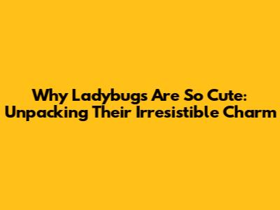 Why Ladybugs Are So Cute: Unpacking Their Irresistible Charm