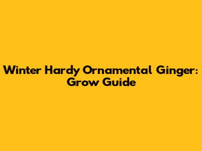 Winter Hardy Ornamental Ginger: Grow Guide