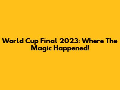 World Cup Final 2023: Where The Magic Happened!