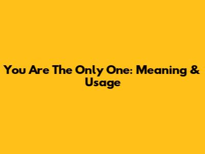 You Are The Only One: Meaning & Usage