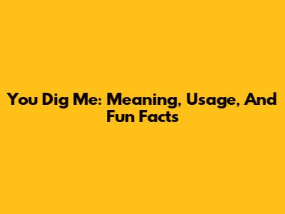 You Dig Me: Meaning, Usage, And Fun Facts