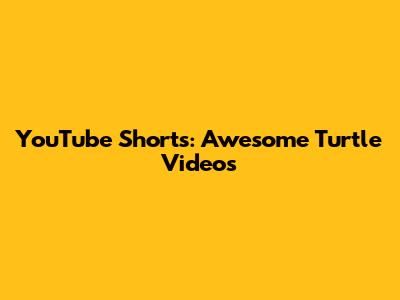 YouTube Shorts: Awesome Turtle Videos