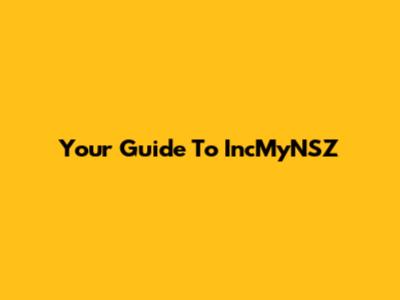 Your Guide To IncMyNSZ