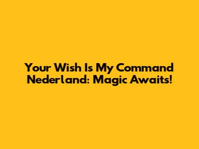 Your Wish Is My Command Nederland: Magic Awaits!