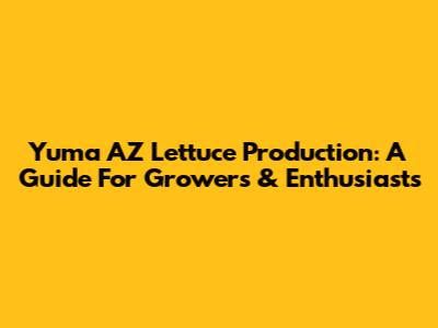 Yuma AZ Lettuce Production: A Guide For Growers & Enthusiasts